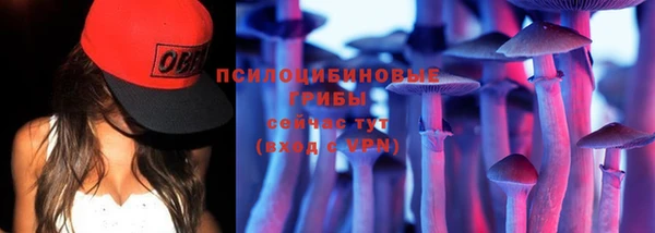 индика Алексеевка
