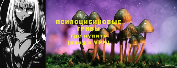 тгк Арсеньев