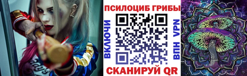 OMG сайт  Мамоново  Галлюциногенные грибы Cubensis 